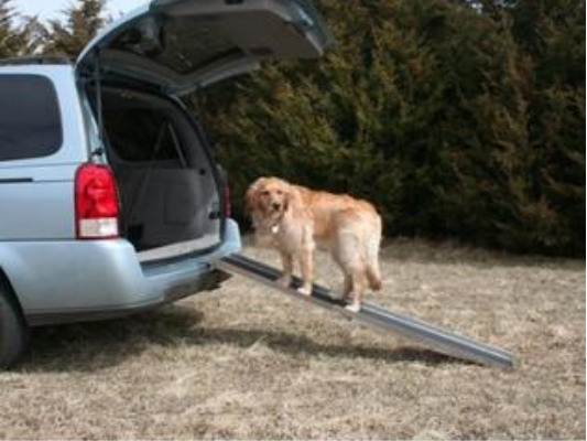 Prairie View Industries (PVI) folding ramp dog climbing into minivan ramp