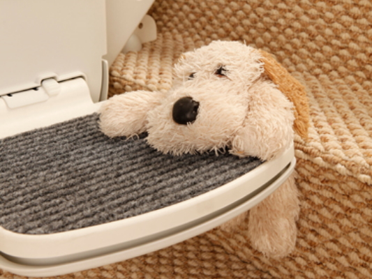 Handicare footplate with stuffed dog